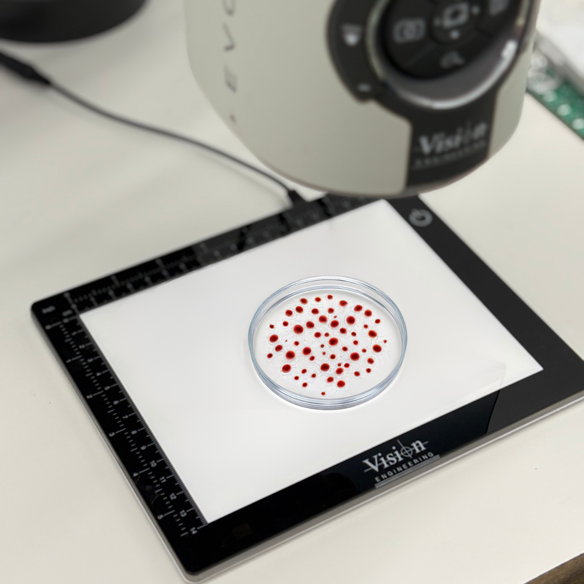 Ultradünnes dimmbares LED-Lichtpad
